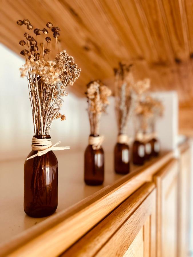مبيت وإفطار Saint-Paul-en-Forêt 4 Saisons En Provence المظهر الخارجي الصورة